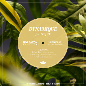Dengarkan lagu Just Stay (FakeFunk Remix) nyanyian Dynamique dengan lirik