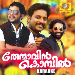收听Shafeeq Rahman的Mizhikalum (Karaoke Version)歌词歌曲