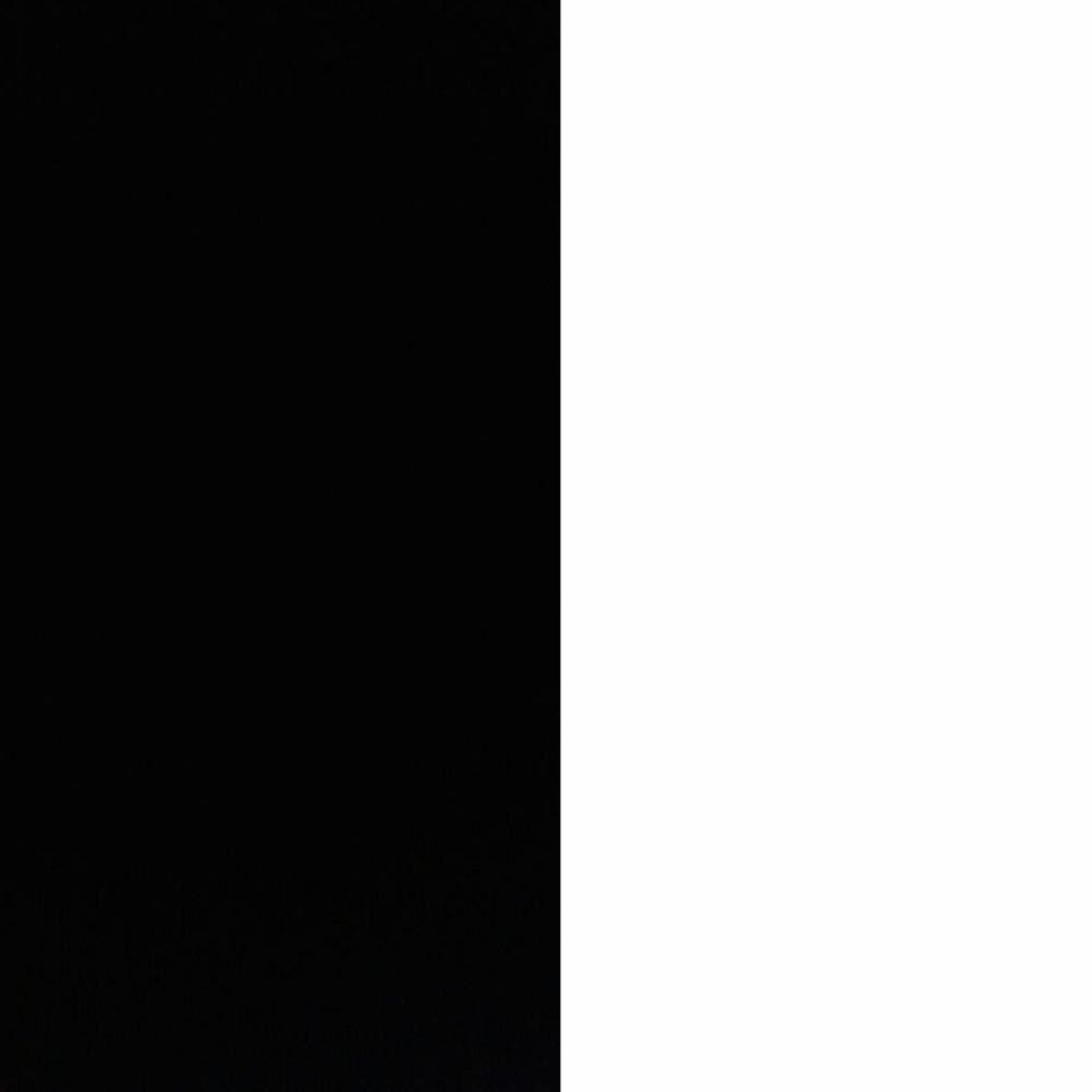 Black y White (feat. $limm) (Explicit)