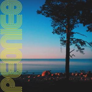 收聽Peonies的Karelia (Карелия)歌詞歌曲