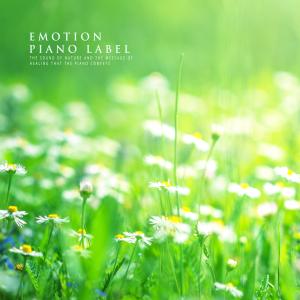 Various Artists的專輯The Sound Of Nature And The Message Of Healing That The Piano Conveys (Nature Ver.)