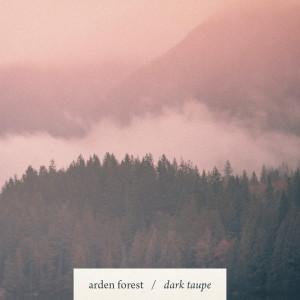 ดาวน์โหลดและฟังเพลง Gold Foil พร้อมเนื้อเพลงจาก Arden Forest