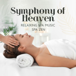 收听Relaxing Spa Music Zone的Symphony of Heaven歌词歌曲