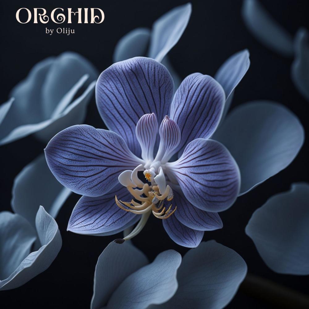 Orchid