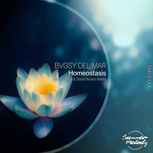Album Homeostasis from BVGSY DEL MAR