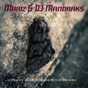 Album Voices from Beyond / After Dreams from Mariz