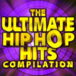 อัลบัม The Ultimate Hip Hop Hits Compilation ศิลปิน Hip Hop Hitmakers