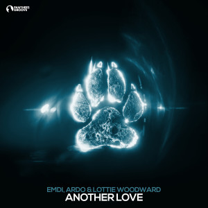Listen to Another Love song with lyrics from Emdi