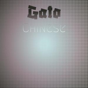 Various Artists的專輯Gato Chinese