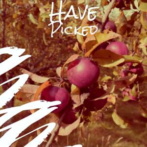 Listen to Should Me song with lyrics from Juna Saki