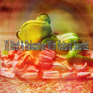 收听Nature Sounds Nature Music的Dropping Off歌词歌曲