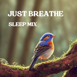 อัลบัม Just Breathe (Sleep Mix) ศิลปิน Classical Sleep Music