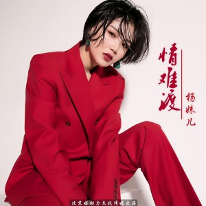 Listen to 情难渡 (Dj Dell Radio Mix伴奏) song with lyrics from 杨妹儿