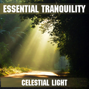 Essential Band的專輯Celestial Light