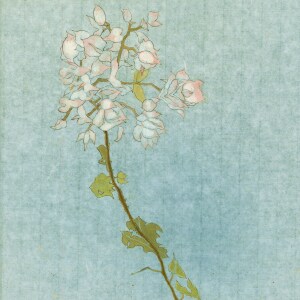 林理惠 Mars Lin的专辑晴日树影 Komorebi