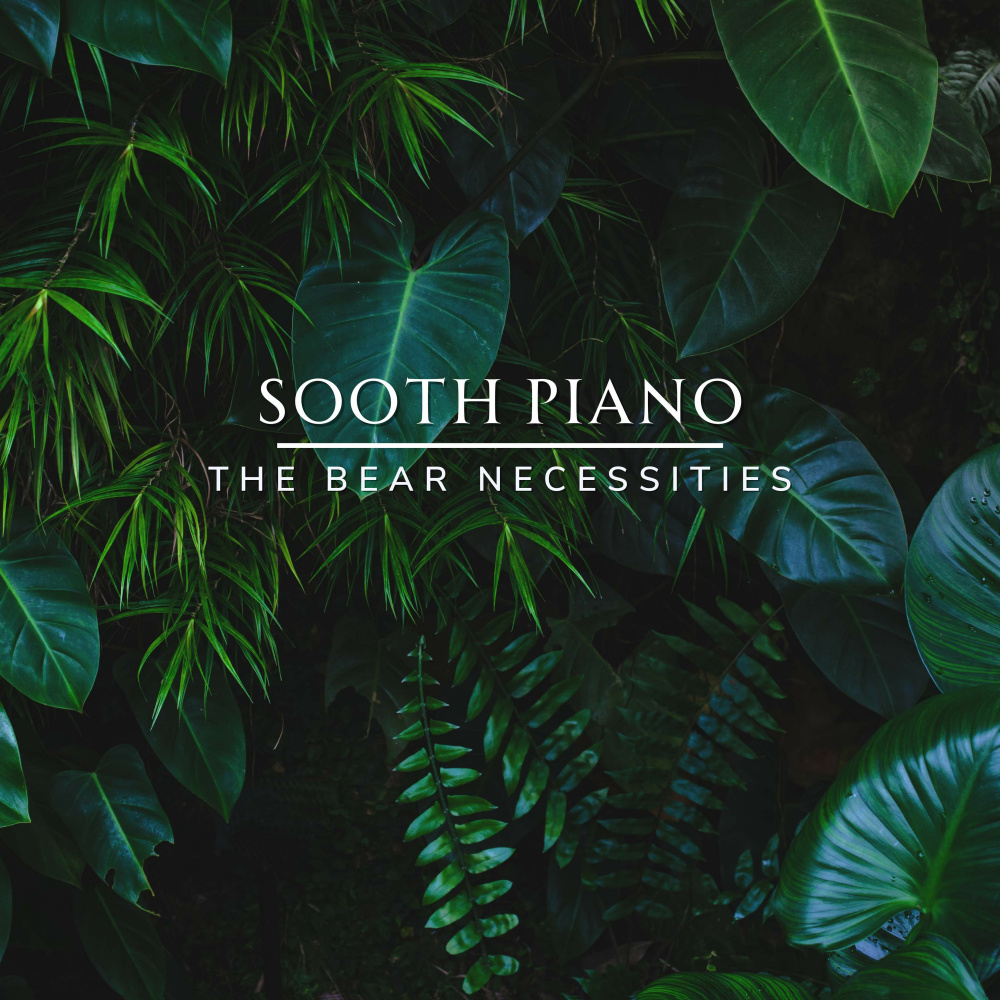 The Bear Necessities