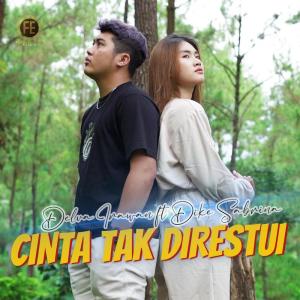 Dengarkan Cinta Tak Direstui lagu dari Delva Irawan dengan lirik