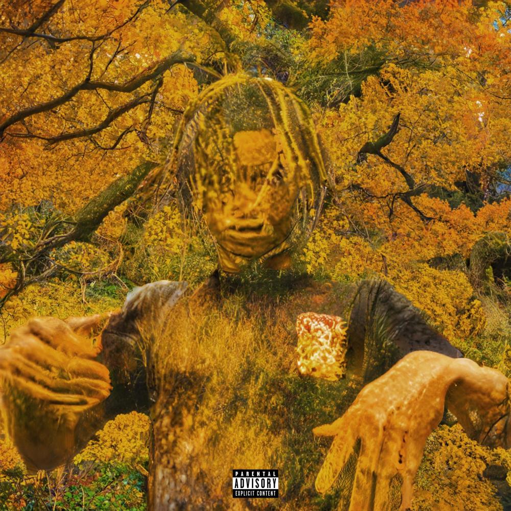 Make A Chocie (Explicit)
