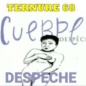 Ternure 68的专辑Despeche
