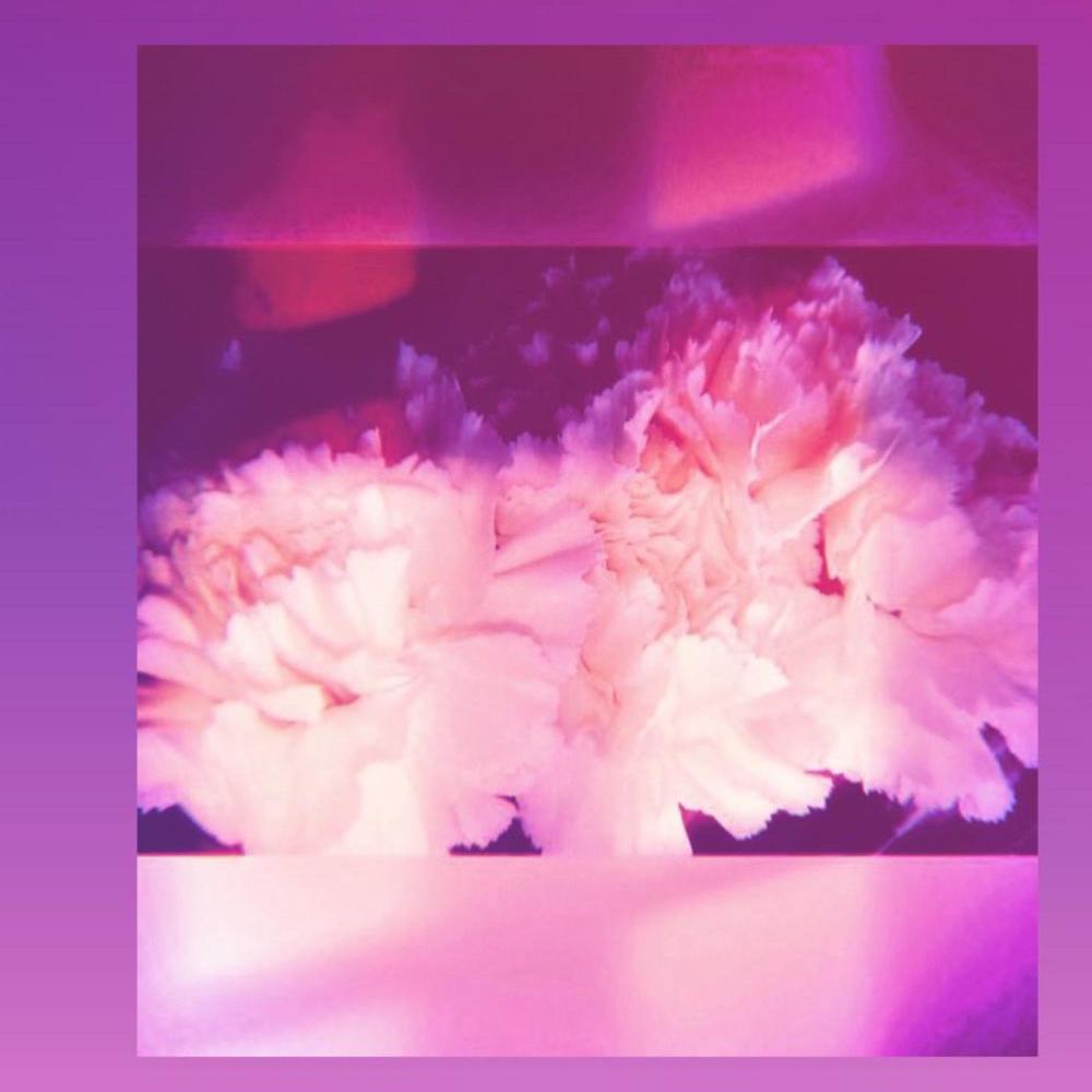 Adore You (feat. LilSaku)