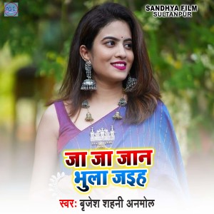 Listen to Ja Ja Jan Bhula Jaibu song with lyrics from Brijesh Shahni Anmol
