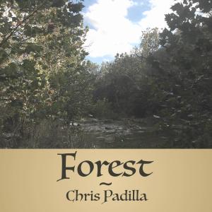 Dengarkan lagu Sacred Grove nyanyian Chris Padilla dengan lirik