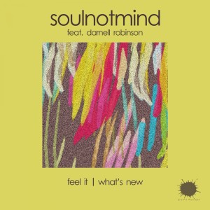 ดาวน์โหลดและฟังเพลง Feel It พร้อมเนื้อเพลงจาก Darnell Robinson