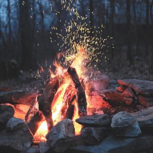 Burning Logs on an Open Fire