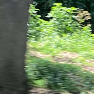 pdktp的專輯Your Eyes (Explicit)