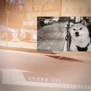 Album 突然很孤单 from 何贤忠