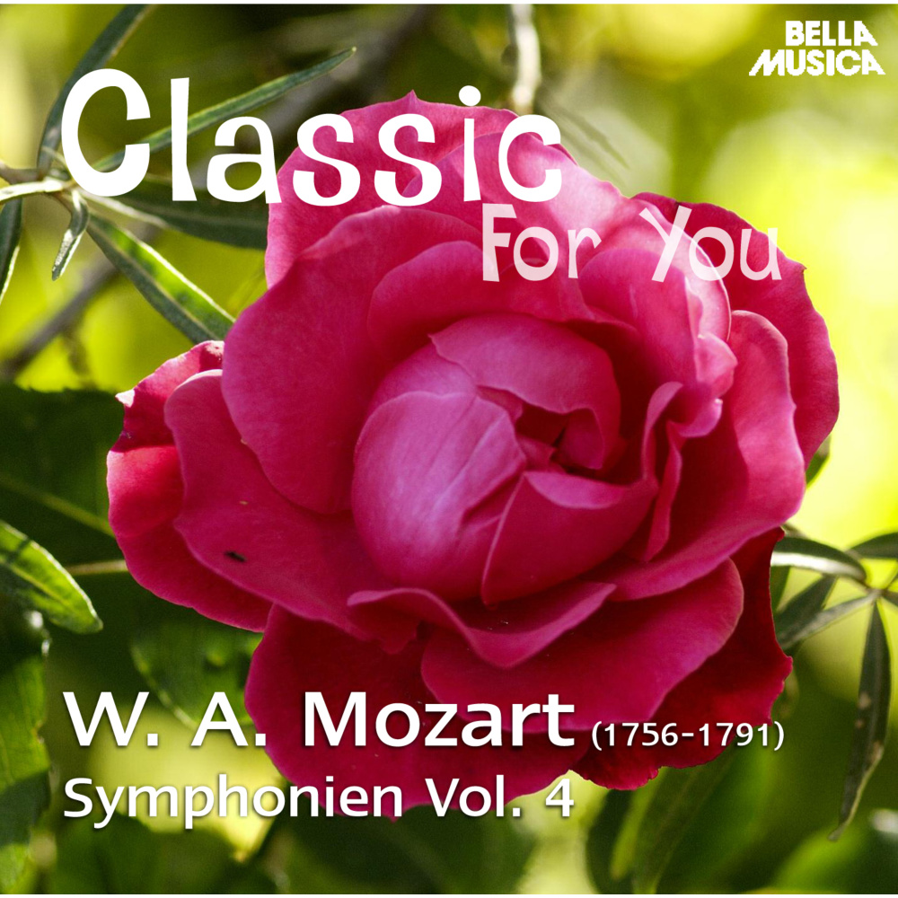 Symphonie in D Major, K. 133, No. 20: II. Andante