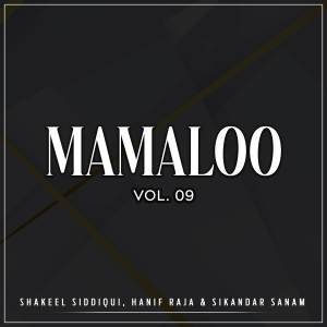 Dengarkan lagu Jaib Katne Ka Irada Hai nyanyian Hanif Raja dengan lirik
