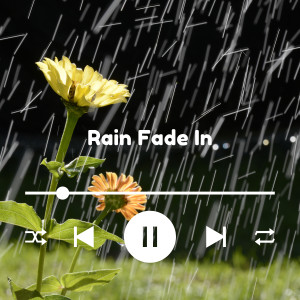 Rain Fade In的專輯Whispered Rainfall Rhapsody