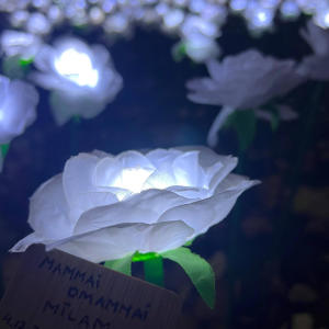 收聽Antra Lante的Somewhere Over The Rainbow歌詞歌曲