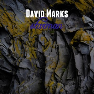 收聽David Marks的Starman歌詞歌曲