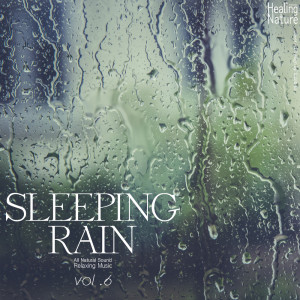 ดาวน์โหลดและฟังเพลง Mellow Rain Sound พร้อมเนื้อเพลงจาก 힐링 네이쳐 Nature Sound Band