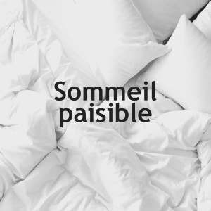 收聽Zone de Détente的Visualisation歌詞歌曲