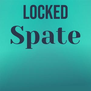 Album Locked Spate from Various