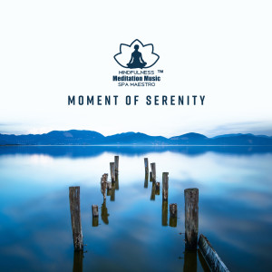 Mindfulness Meditation Music Spa Maestro的專輯Moment of Serenity (Spa, Relaxation & Meditation)
