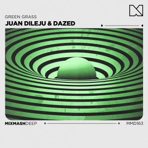 ดาวน์โหลดและฟังเพลง Green Grass พร้อมเนื้อเพลงจาก Juan Dileju
