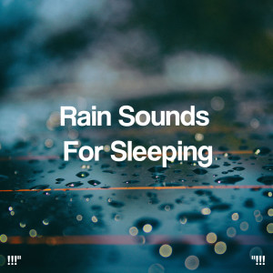 ดาวน์โหลดและฟังเพลง Rain Sound Effects For Healing พร้อมเนื้อเพลงจาก Rain Sounds