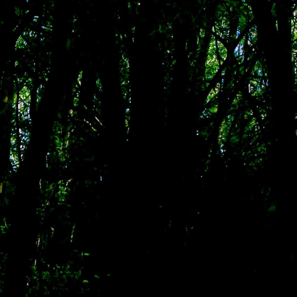 Insignificante