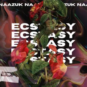 Album Ecstasy oleh NAAZUK