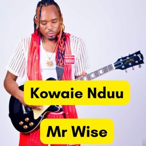 Kowaie Nduu dari Mr Wise