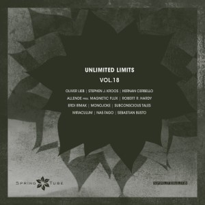 Various Artists的專輯Unlimited Limits, Vol.18