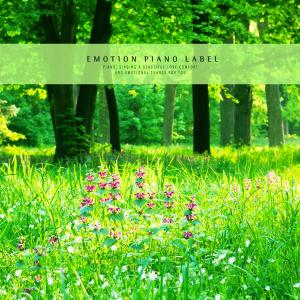 Album A healing piano collection to add fun to the commute from Various Artists