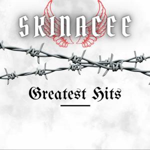 收聽Skinacee的As the world turnz (feat. David Ray) (Explicit)歌詞歌曲