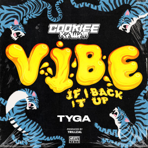 收聽Cookiee Kawaii的Vibe (If I Back It Up) (TrillzAL Remix)歌詞歌曲