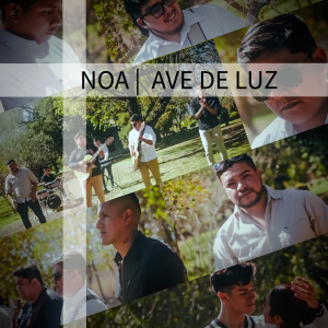 Ave de Luz (Cover) dari Noa（欧美）