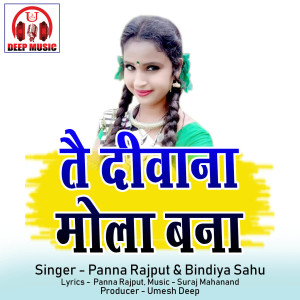 Listen to Tai Deewana Mola Bana song with lyrics from Panna Rajput